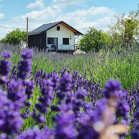 Vacation Home - Nest Kalnik Экстерьер фото