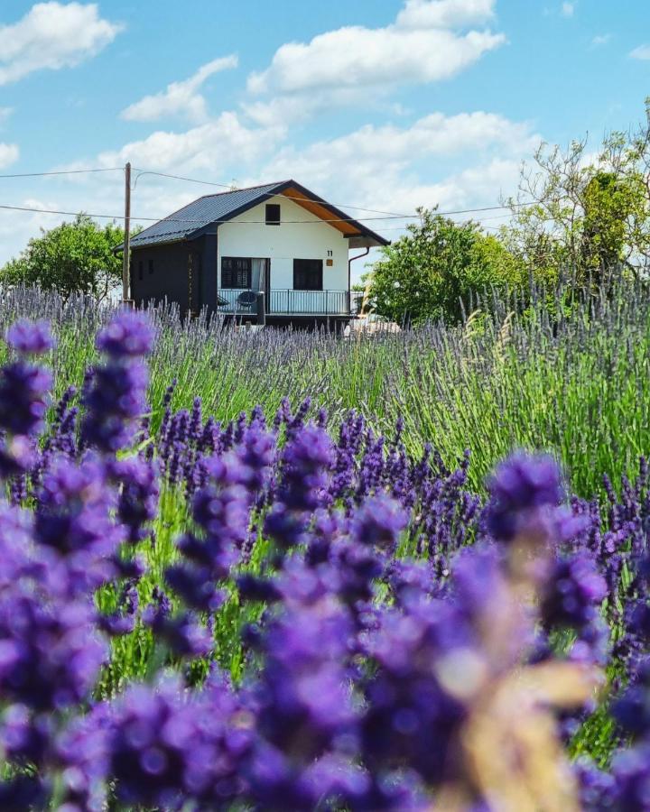 Vacation Home - Nest Kalnik Экстерьер фото